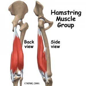 knee_hamstring_intro01-300x300