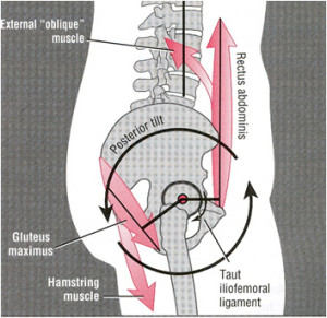 posterior pelvic tilt