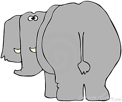 Description: elephant-from-the-rear-thumb18201073
