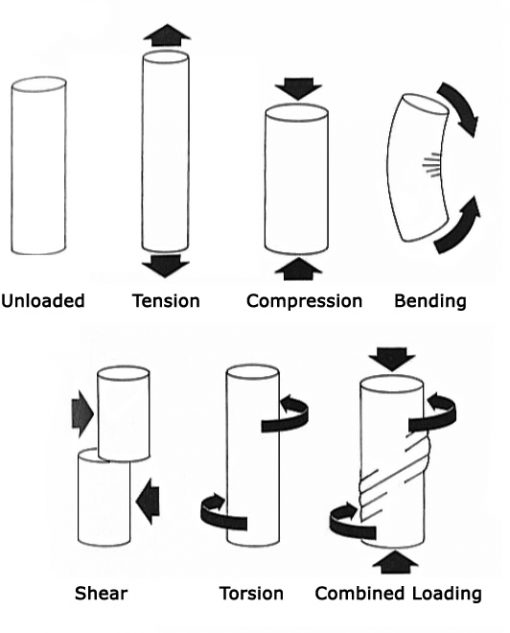 VECTOR FORCES ON BONE - The System: Art & Science of Coaching