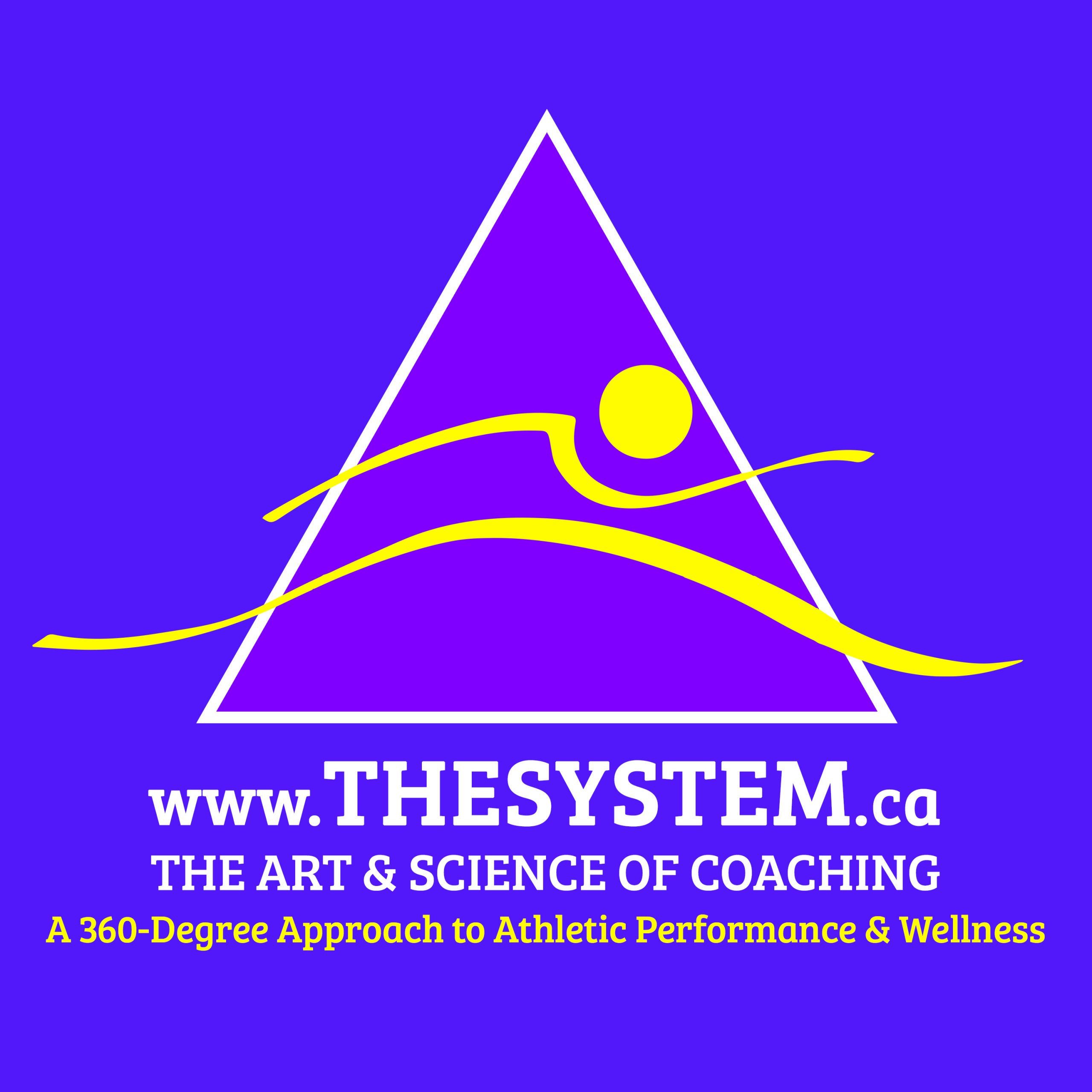 The System Logo
