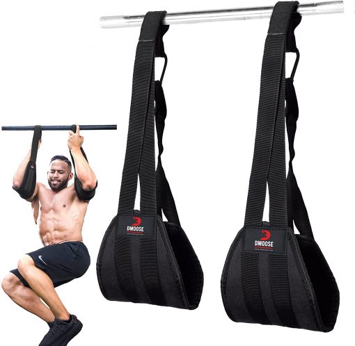 DMoose Hanging Ab Straps - The System: Art & Science of Coaching