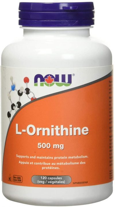 now l-ornithine, upports and maintains protein metabolism