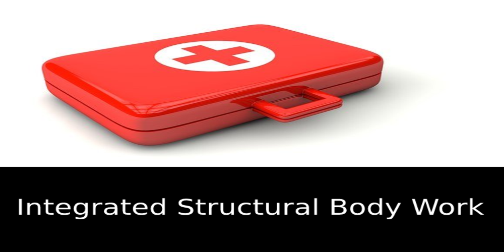 Medical Bag; integrated structural body work