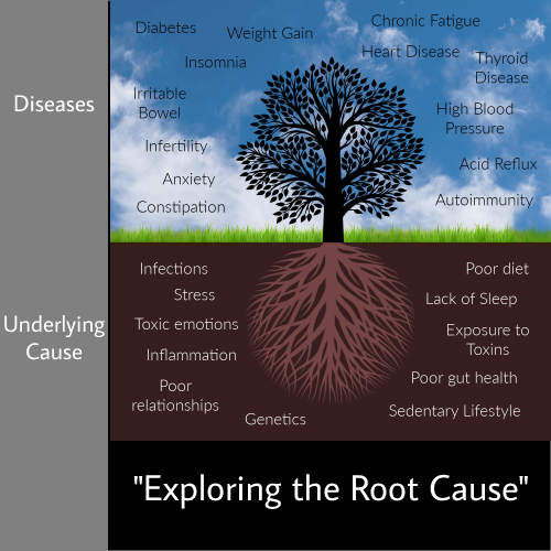 exploring the root (nutritional) causes of problems